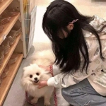 欢迎来到男女同校游戏